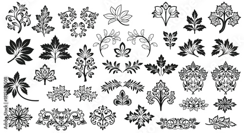 Collection of decorative floral and leafy ornate flourish elements silhouette