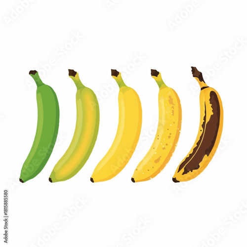 Five bananas displaying stages of ripening, from green to brown, isolated.