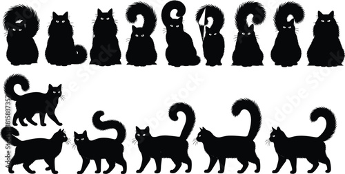 Cat silhouettes, sitting cats, walking cats, curled tails, feline poses, pet vector, animal icons, black shapes, domestic cats, tail variations