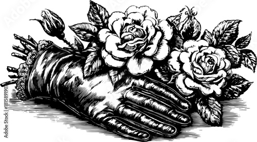 Antique glove with roses. Black and white vector illustration featuring detailed botanical elements in a vintage style.
