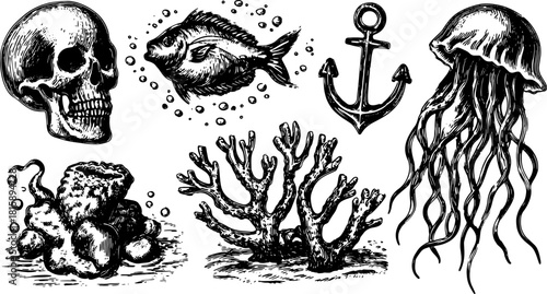 Hand-drawn illustration of a skull, jellyfish, fish, corals, and anchor in black outline style. Marine creatures vector set with underwater details.