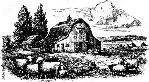 Barn with sheep in a rural landscape. Vintage vector illustration depicting agricultural scenery and nature in an outline style.