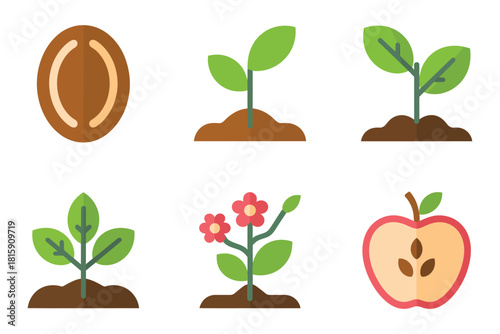 Simplified plant growth icons, seed, sprout, flower, apple fruit, leaf, root system, agriculture education vector set.