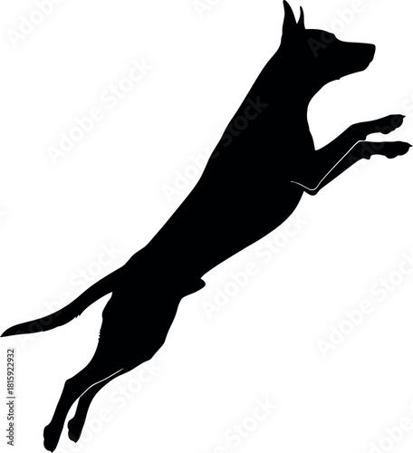 Black silhouette of a dog in a dynamic jumping pose, captured midair, isolated on