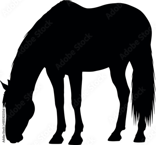 Black silhouette of a horse grazing with its head down, depicted in profile, isolated on