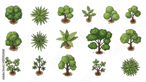 A diverse collection of hand-drawn tree illustrations for landscape and architectural design