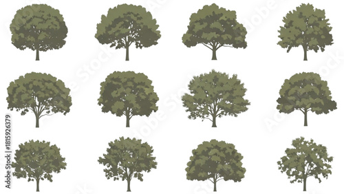Collection of stylized green trees for landscaping and environmental design