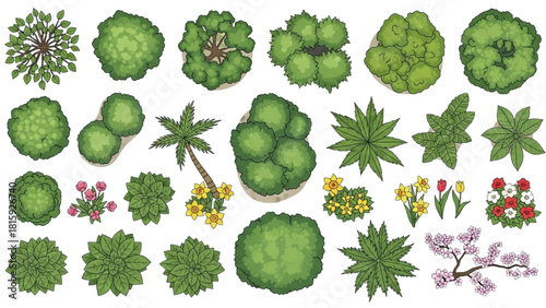 Top view vector collection of assorted trees and plants for garden or park landscape design