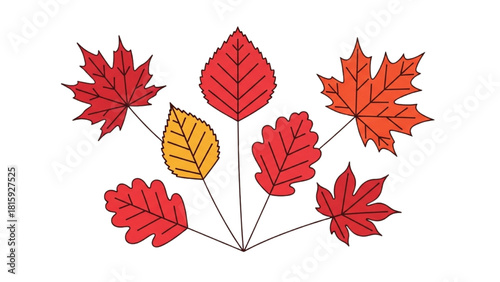 Colorful autumn leaves vector illustration, a vibrant fall foliage collection arranged radially