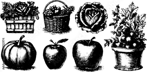 Assorted fruits and vegetables in hand-drawn style. Black and white vector illustration in a simple set.