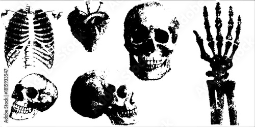 Skull, heart, and skeleton in black and white. Anatomical vector illustration set for educational and medical purposes.