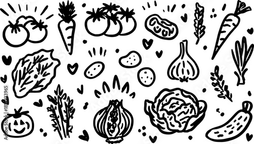 Vegetables collection: cartoon illustrations of tomato, carrot, onion, and cabbage in a simple vector set. Black and white design.