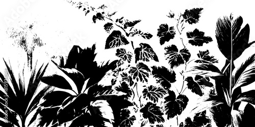 Plants and leaves in black and white illustration set. Botanical vector art showcasing natural forms and textures with a modern design.