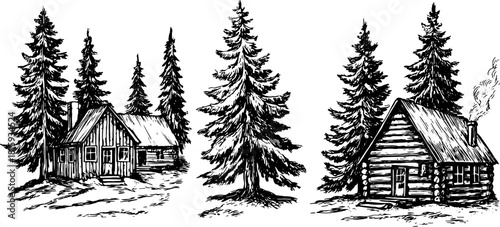 Wooden cabin in a forest setting with pine trees. A hand-drawn black and white vector illustration depicting a rustic retreat set in nature.