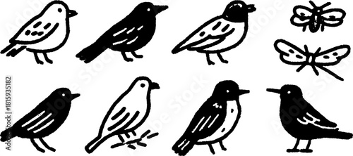 Cartoon birds and butterfly silhouettes. Hand-drawn black outlines in a modern vector illustration set.