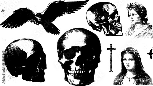 Vintage skull and bird engraving set. Black and white vector illustrations feature line art details in a classic monochrome style.