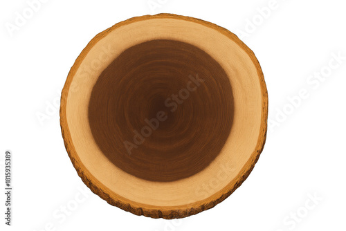 Wood slice displaying a cross-section with concentric growth rings and natural bark. Transparent background for versatile use