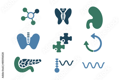 Endocrine and metabolic organs icons, spleen pancreas lymph, molecular shapes, medical puzzle piece, biology research vector set.