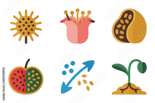 Botany icons, detailed flower bud, seed pod, sprout growth arrow, fruit, plant science vector set.