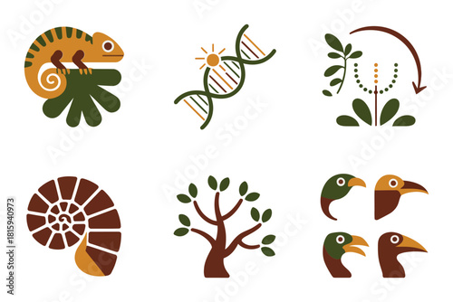 Zoology research icons, chameleon, DNA, fossil shell, eagle, birds, natural history education flat illustration vector set.