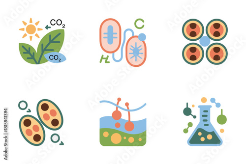 Biological science visuals, bacteria, virus, petri dish, flask, chemical beaker, molecular structure, laboratory diagram vector.