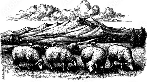Vintage black and white illustration of sheep grazing in a landscape with mountains and trees. A traditional set showcasing rural nature vector art.