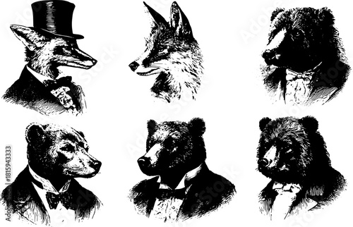 Vintage animal portraits: fox and bear in formal attire. Black and white vector illustration, featuring detailed line drawing in a classic set.