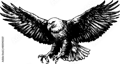 Eagle illustration in black and white outline style. This detailed vector set showcases wings and texture in a vintage aesthetic.