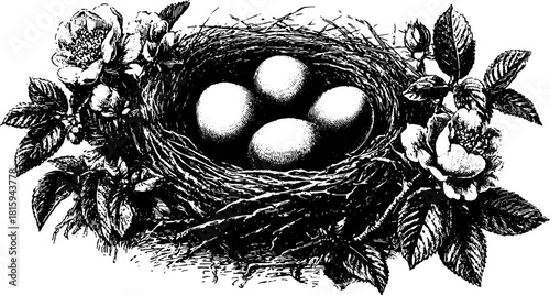 Nest with eggs and flowers in a vintage line drawing style. This hand-drawn vector illustration showcases detailed elements from nature.