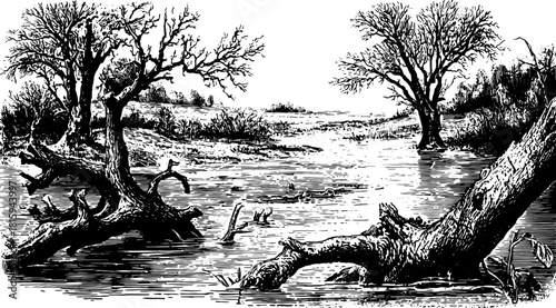 Vintage illustration of trees by a lake. Detailed line drawing in black and white. This vector artwork captures a dry, bare landscape.