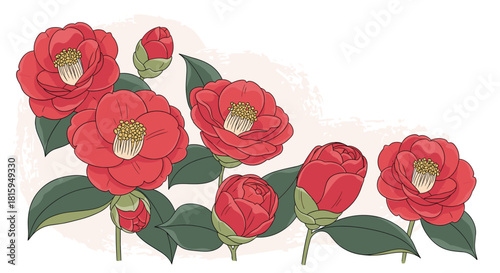 Beautiful hand-drawn illustration of blooming red camellia flowers and buds with green leaves creating a delicate floral border.