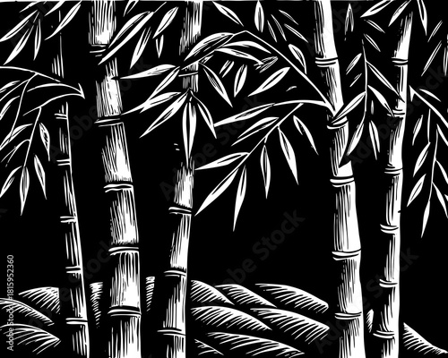 Serene bamboo forest with detailed textures and dark background