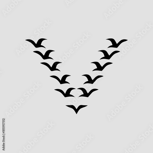 A flock of birds flying in a v formation against gray background