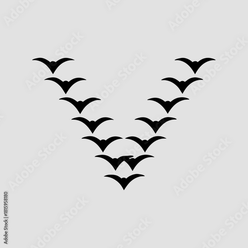 Silhouette of birds flying in v formation isolated on