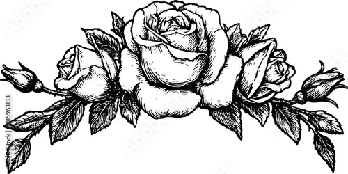 Vintage rose illustration in black and white engraving style. Detailed floral design set for various graphic applications, featuring elegant vector elements.