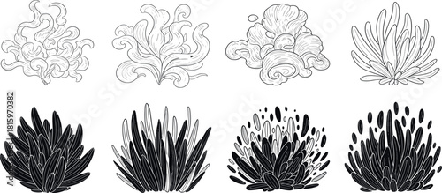 Whimsical Marine Flora Seaweed & Aquatic Plant Line Art Collection