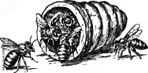 Vector illustration of a bee interacting with a beehive. Detailed sketch emphasizing pollination and ecology in a black and white style.