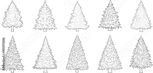 Collection of hand-drawn coniferous trees in varying styles and densities for design and illustration projects