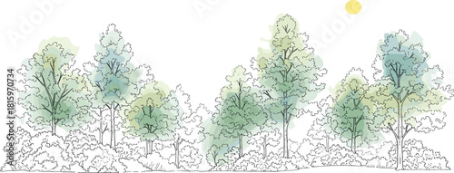 A watercolor illustration of a diverse forest canopy with lush green and blue foliage, set against a bright, sunny sky