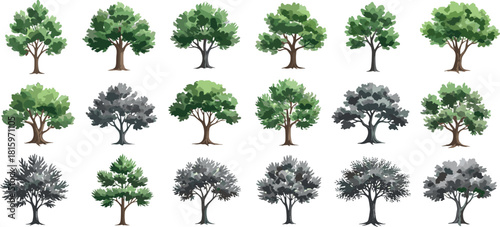 A diverse collection of illustrated deciduous trees, featuring both vibrant green and monochrome grayscale variations isolated on a white background for design elements