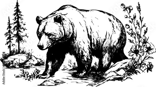 Bear in a natural forest setting. Black and white vector illustration featuring flora and contour details in a wildlife design.