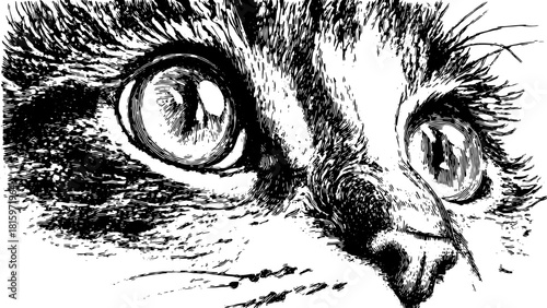Close-up of a cat's eye in black and white. Detailed and realistic animal illustration with fur texture, vector style.