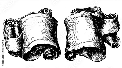 Antique scroll set with curled parchment and blank banner elements. Hand-drawn ink style vector illustration with classic and decorative details.