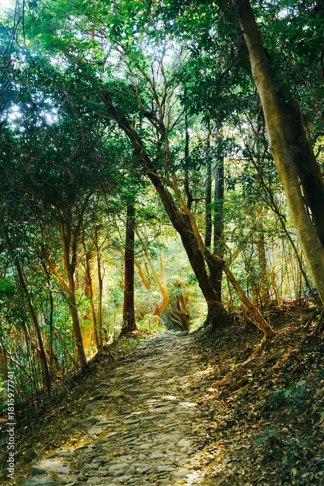 Fototapeta premium 伊射波神社の美しい風景