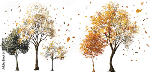 Autumn deciduous trees with falling leaves in seasonal transition, showcasing colorful foliage in nature-inspired vector illustration for creative design use