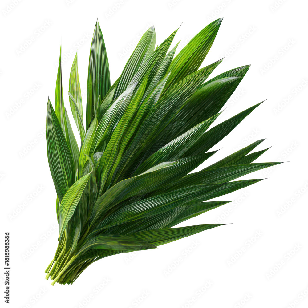 Obraz premium Greenery's Embrace: An intimate capture of lush, verdant leaves that form a harmonious bouquet, exuding freshness and the essence of natural tranquility.