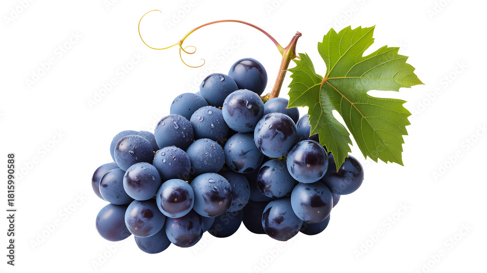 Fototapeta premium Fresh ripe dark blue grapes with a green leaf and stem isolated on transparent background