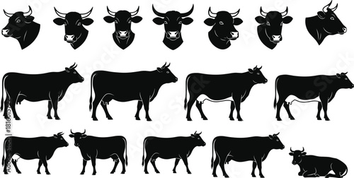 Cow silhouettes, livestock icons, farm animals, dairy cattle, black and white vector, agriculture design, rural symbols, animal illustration set