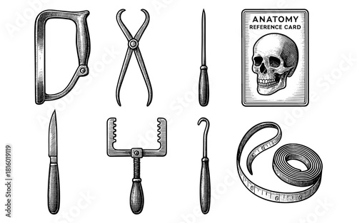 Vintage medical tools and anatomy card with skull in detailed engraving style