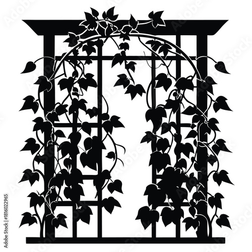 ivy growing on wooden trellis black and white silhouette